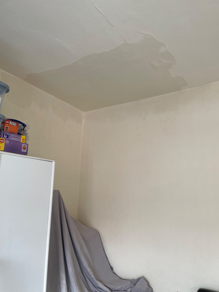Plasterer: Image 1